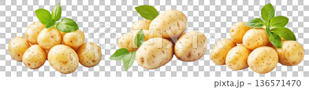 Fresh potatoes with green leaves isolated on white transparent background. Concept of healthy food 136571470