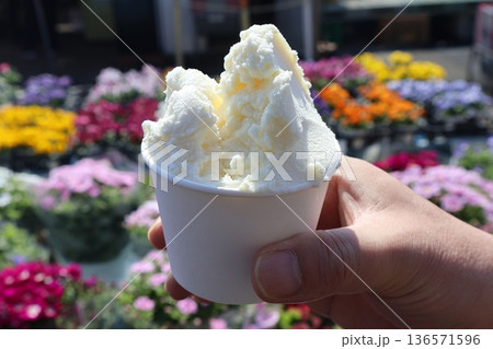 ジェラート ジェラート 136571596