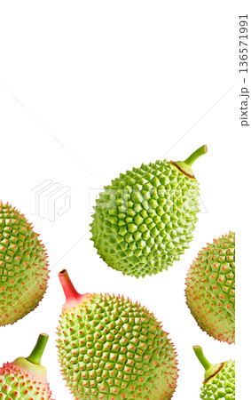 Multiple green durian fruits with sharp spikes arranged in a seamless pattern isolated on white background 136571991