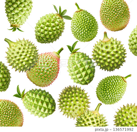 Multiple green durian fruits with sharp spikes arranged in a seamless pattern isolated on white background 136571992