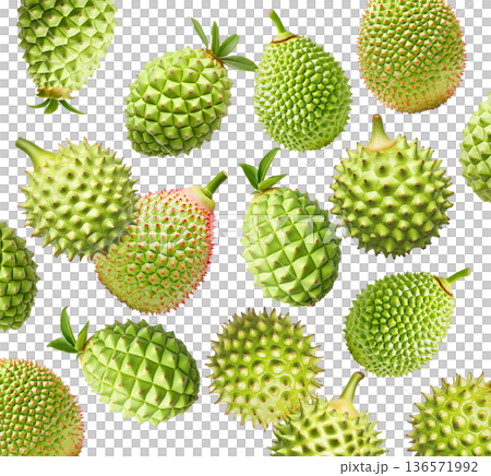 Multiple green durian fruits with sharp spikes arranged in a seamless pattern isolated on white background 136571992