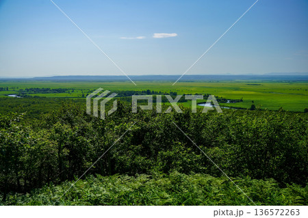 夏の釧路湿原　細岡展望台 136572263