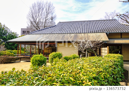 東京都　世田谷区　羽根木公園　梅園内の星辰堂　梅まつり 136573732