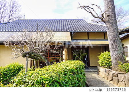 東京都 世田谷区 羽根木公園 梅園内の星辰堂 梅まつり 東京都 世田谷区 羽根木公園 梅園内の星辰堂 梅まつり 136573736