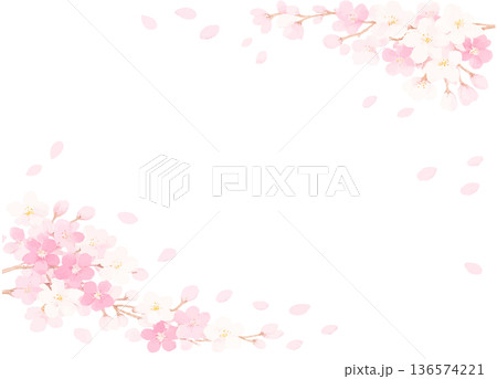 桜の花と花びらが舞うフレーム　ベクターイラスト素材 136574221