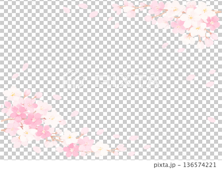 桜の花と花びらが舞うフレーム　ベクターイラスト素材 136574221