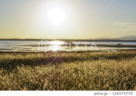 野付半島から見る野付湾に沈む夕日 136574779