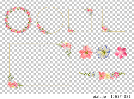 押し花フレームセット ピンク ゴールドライン PNG透過素材 春の装飾枠・円形・正方形 136574881