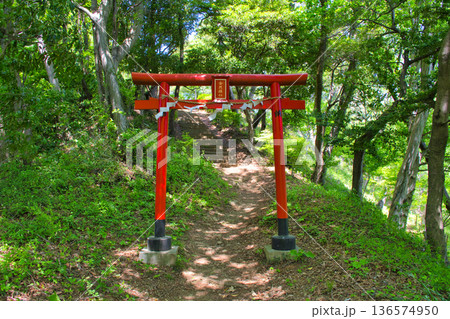 【神奈川県】鳶尾山金毘羅社の鳥居 136574950