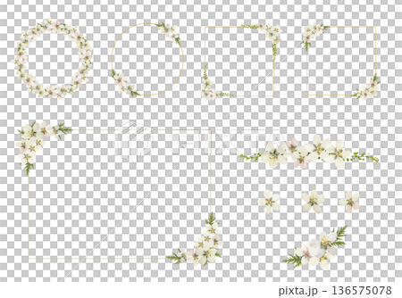 櫻花壓花相框套裝 春季植物裝飾材質 PNG 透明 櫻花壓花相框套裝 春季植物裝飾材質 PNG 透明 136575078