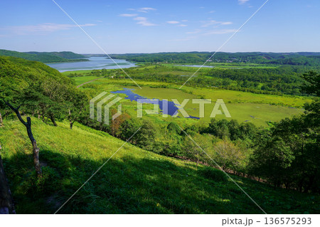 夏の釧路湿原 塘路・サルルン展望台 夏の釧路湿原 塘路・サルルン展望台 136575293