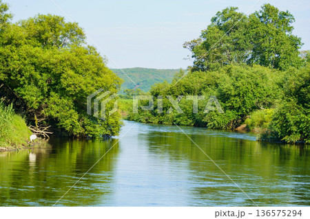 夏の釧路湿原　ゆるやかに流れる釧路川 136575294