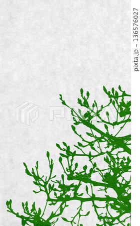 木蓮のシルエットアート、春がはじまる芽吹きの季節 136576027