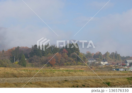 秋の朝の朝霧に包まれた風景 136576330