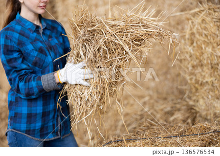 Heap of dried hay in hands of female farm worker Heap of dried hay in hands of female farm worker 136576534