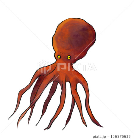 リアルなタコのイラスト 136576635