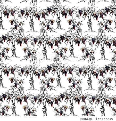Seamless pattern with grape clusters on leafy vine trunk hand drawn in ink and watercolor. Packaging, menus, wrapping paper, textile prints, organic branding, blog graphics, culinary editorial design. 136577239