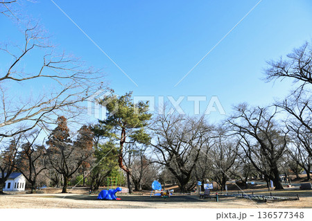 狭山稲荷山公園_こばとん広場_02 136577348
