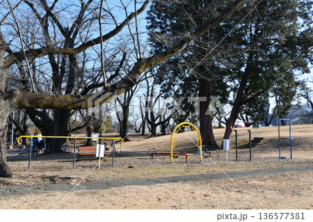 狭山稲荷山公園_健康遊具広場_18 136577381