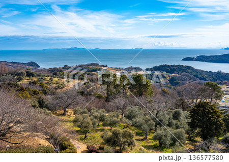 冬のオリーブ園から見た瀬戸内海の風景4　岡山県瀬戸内市 136577580