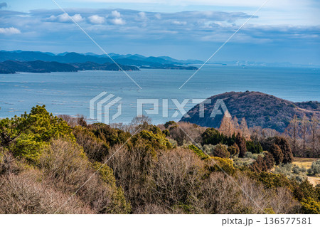 冬のオリーブ園から見た瀬戸内海の風景5　岡山県瀬戸内市 136577581