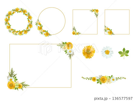 黄色い花の押し花風フレーム素材セット（円形・四角・装飾ライン） 136577597