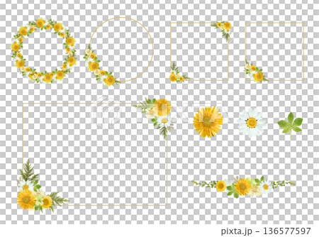 Yellow flower pressed flower style frame material set (circular, square, decorative line) 136577597
