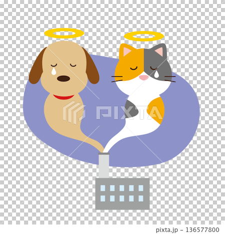 Euthanasia of dogs and cats Euthanasia of dogs and cats 136577800