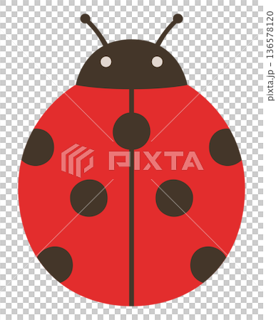 Cute ladybug vector illustration Cute ladybug vector illustration 136578120