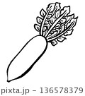 大根の線画イラスト 136578379