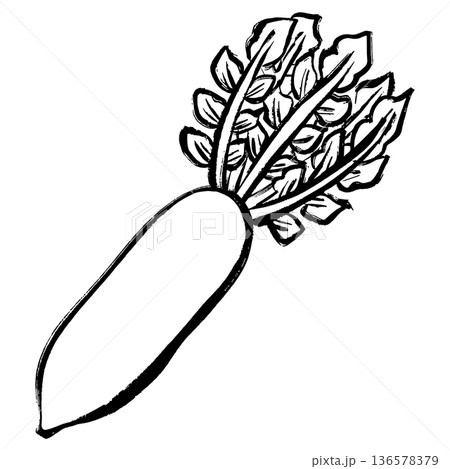 大根の線画イラスト 136578379