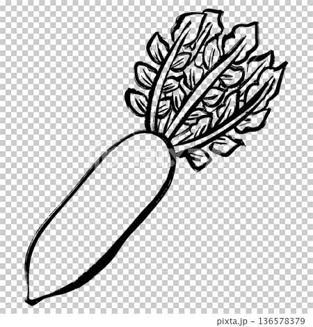 大根の線画イラスト 136578379