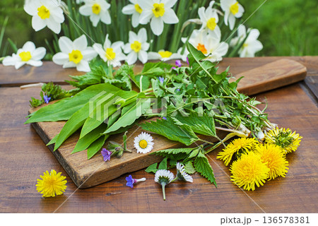 Spring plants herbs Spring plants herbs 136578381
