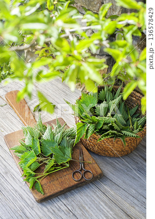 Nettle Nettle 136578429