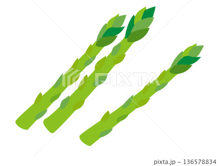アスパラガスのイラスト素材 136578834
