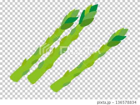 アスパラガスのイラスト素材 136578834