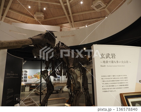 玄武洞ミュージアム 136578840