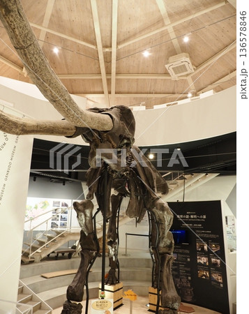 玄武洞ミュージアム 玄武洞ミュージアム 136578846