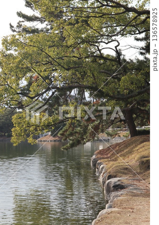 2024年・福岡・福岡市・風景・中央区大濠公園・大濠公園・其の四十七 136578925