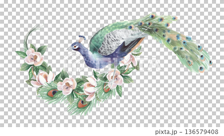 The composition of peacock, the blooming magnolia and feathers. Handmade watercolor illustration. For cards, cover, wallpaper, prints, product labels and fabric. 136579408