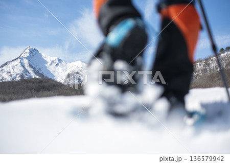 スノーシュートレッキングのイメージ　大山鏡ヶ成   136579942