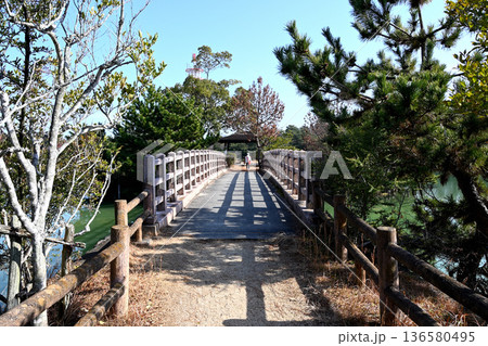 木々に囲まれた公園の橋 136580495