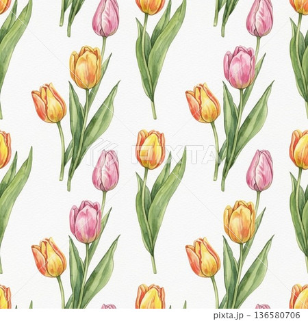チューリップのイラスト 136580706