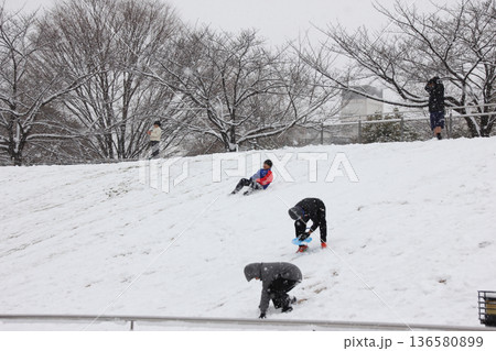 雪の降る公園の斜面でそり遊びに夢中な子供達 雪の降る公園の斜面でそり遊びに夢中な子供達 136580899