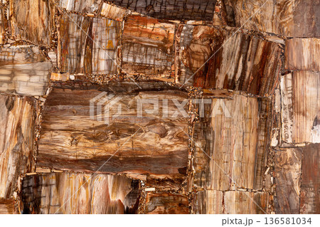 Petrified wood matt texture. Semi precious pattern. Exclusive luxury gemstone background. Material for unique interior, exterior design decoration. Brown luxury matt mineral texture. Petrified wood matt texture. Semi precious pattern. Exclusive luxury gemstone background. Material for unique interior, exterior design decoration. Brown luxury matt mineral texture. 136581034