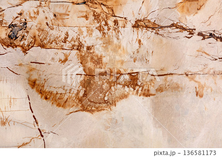 Roma Imperiale - natural calcite background in stylish new beige color, texture as part of your personal design. 136581173