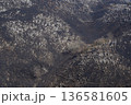 秋吉台　大地と石と 136581605