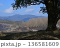 秋吉台　光と影 136581609