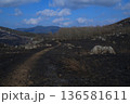秋吉台　カルストへの道 136581611