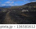 秋吉台　山焼き後の道 136581612